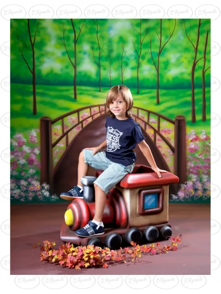 D'APONTE CANVAS BACKDROP SB 12-201-M | D'Aponte | Offers