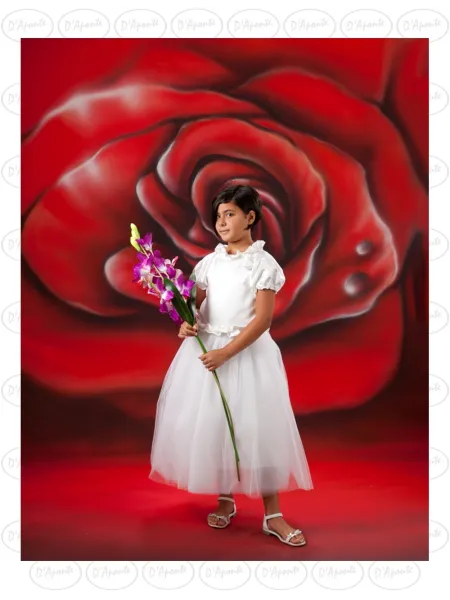 D'APONTE CANVAS BACKDROP SB 12-240-M | D'Aponte | Offers