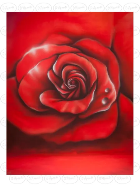 D'APONTE CANVAS BACKDROP SB 12-240-M | D'Aponte | Offers 2