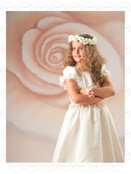 D'APONTE CANVAS BACKDROP SB 12-245-M | D'Aponte | Offers