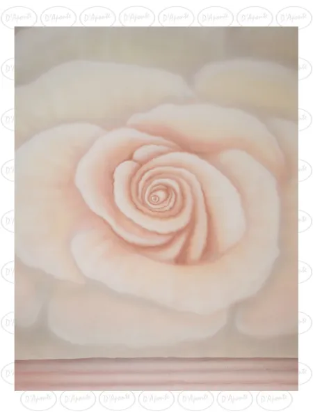 D'APONTE CANVAS BACKDROP SB 12-245-M | D'Aponte | Offers 2