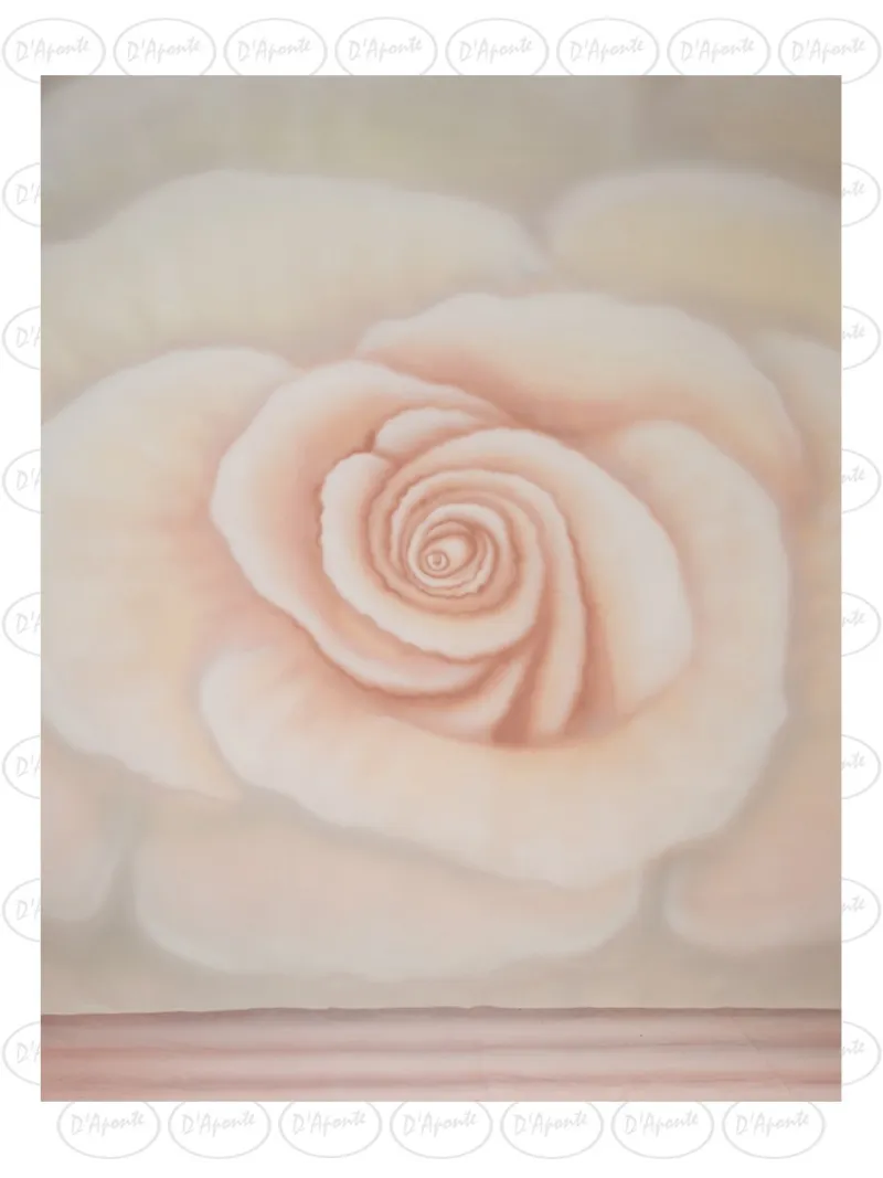 D'APONTE CANVAS BACKDROP SB 12-245-M | D'Aponte | Offers
