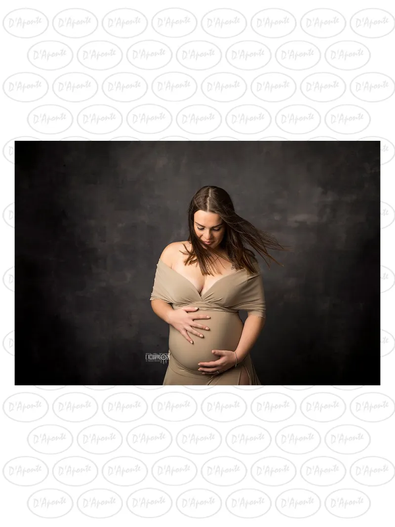 D'APONTE CANVAS BACKDROP PR 12-913 | D'Aponte | Premium Backdrops - PR