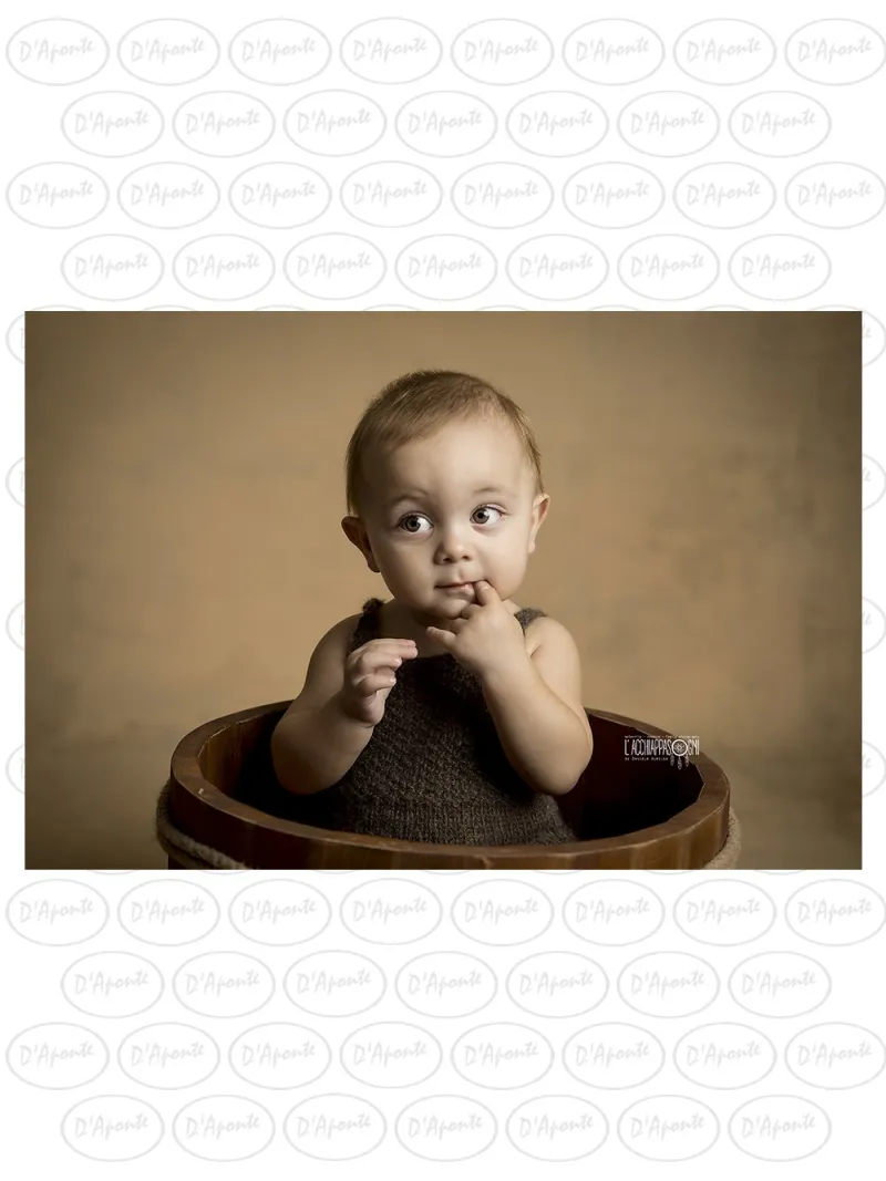 D'APONTE CANVAS BACKDROP PR 12-917 | D'Aponte | Premium Backdrops - PR