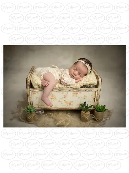 D'APONTE NEWBORN NB034 BABY COT DRAWER WITH PRINTED PICTURE | D'Aponte | Newborn Accessories 2
