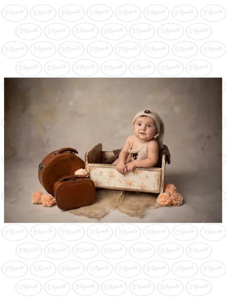 D'APONTE NEWBORN NB034 BABY COT DRAWER WITH PRINTED PICTURE | D'Aponte | Newborn Accessories