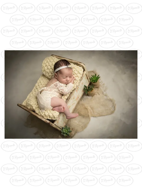 D'APONTE NEWBORN NB034 BABY COT DRAWER WITH PRINTED PICTURE | D'Aponte | Newborn Accessories