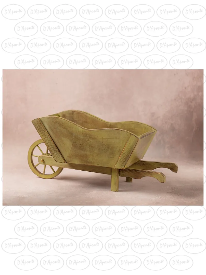 D'APONTE NEWBORN NB039 GREEN BARROW | D'Aponte | Newborn Accessories