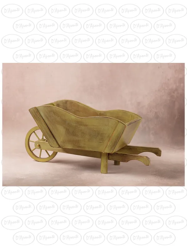 D'APONTE NEWBORN NB039 CARRIOLA