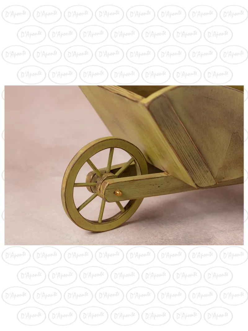 D'APONTE NEWBORN NB039 GREEN BARROW | D'Aponte | Newborn Accessories