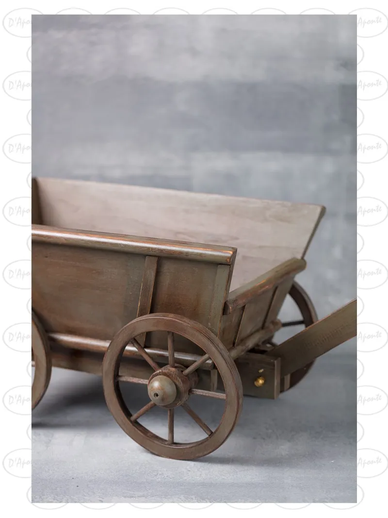 D'APONTE NEWBORN NB047 CARRETTO
