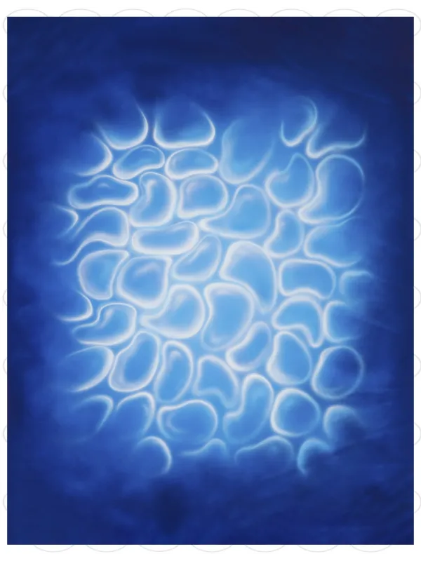 D'APONTE FONDALE IN TELA CC 20-001-M (270X300hCM)