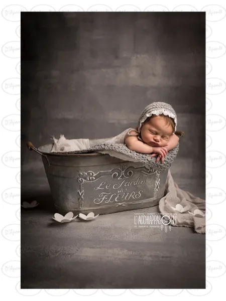 D'APONTE PRINTED CANVAS BACKDROP PRS 12-909 | D'Aponte | Premium Backdrops - PR Printed