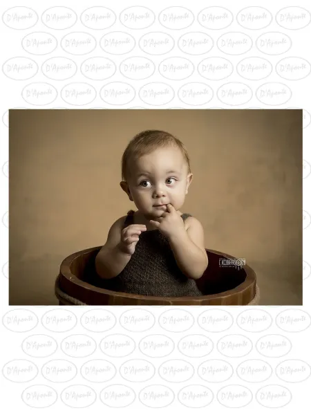 D'APONTE PRINTED CANVAS BACKDROP PRS 12-917 | D'Aponte | Premium Backdrops - PR Printed