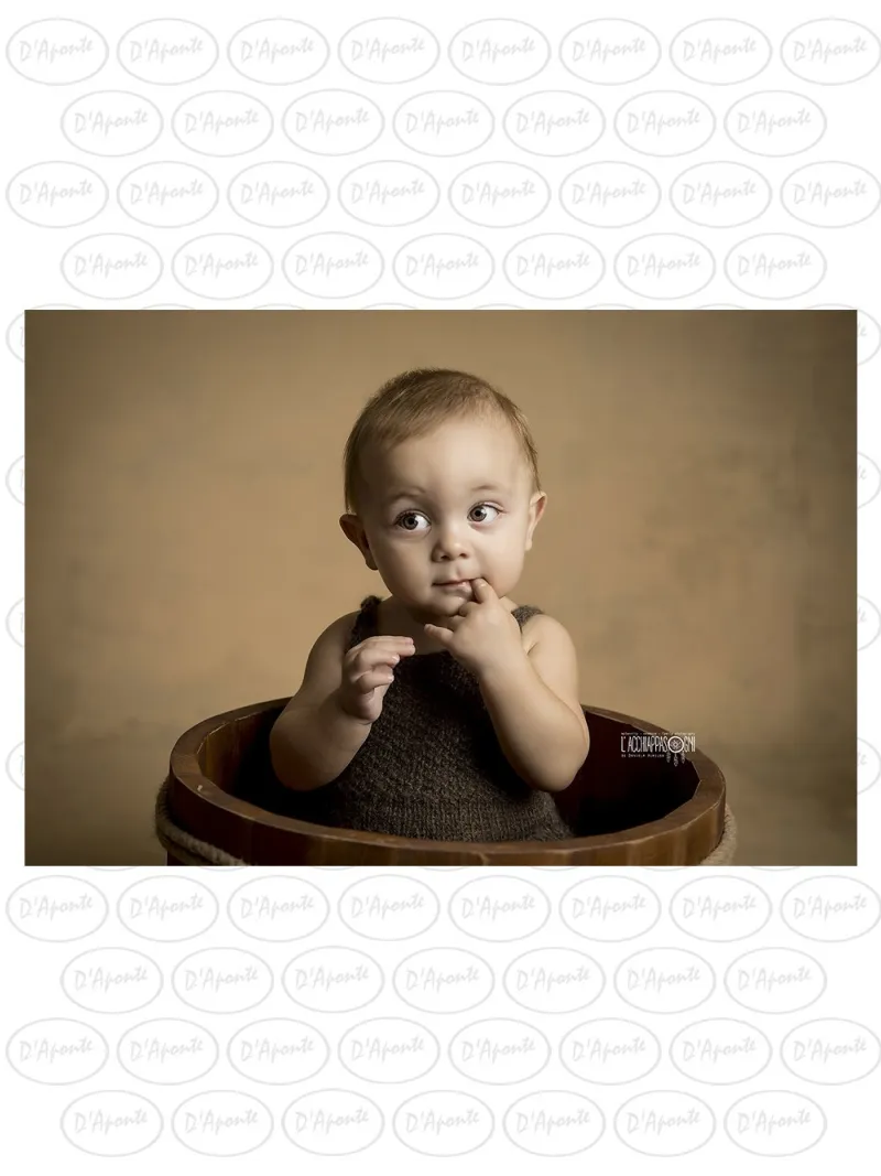 D'APONTE PRINTED CANVAS BACKDROP PRS 12-917 | D'Aponte | Premium Backdrops - PR Printed