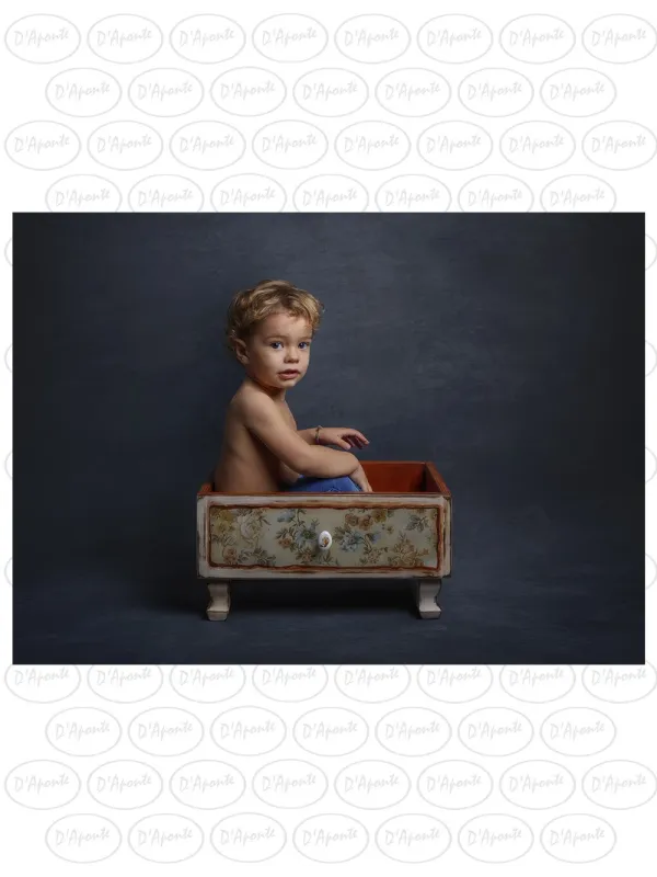 D'APONTE PRINTED CANVAS BACKDROP PRS 12-920 | D'Aponte | Premium Backdrops - PR Printed