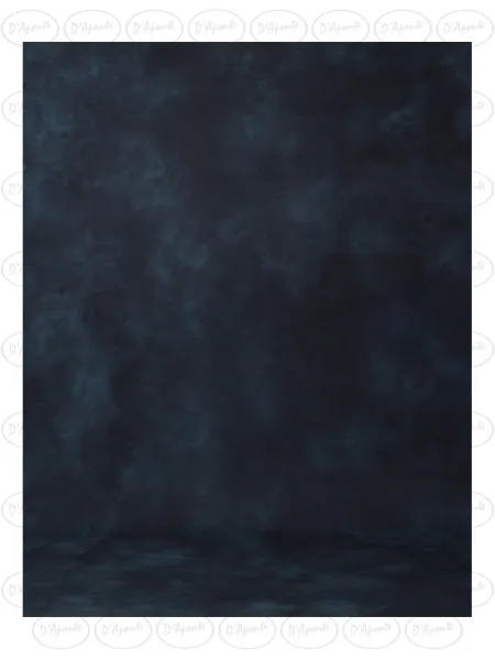 D'APONTE PRINTED CANVAS BACKDROP PRS 12-959 | D'Aponte | Premium Backdrops - PR Printed 2