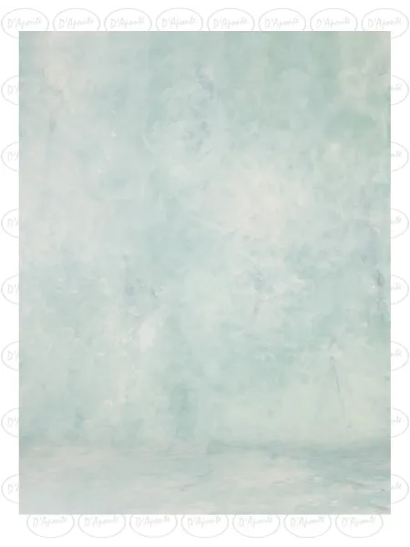 D'APONTE PRINTED CANVAS BACKDROP PRS 12-962 | D'Aponte | Premium Backdrops - PR Printed