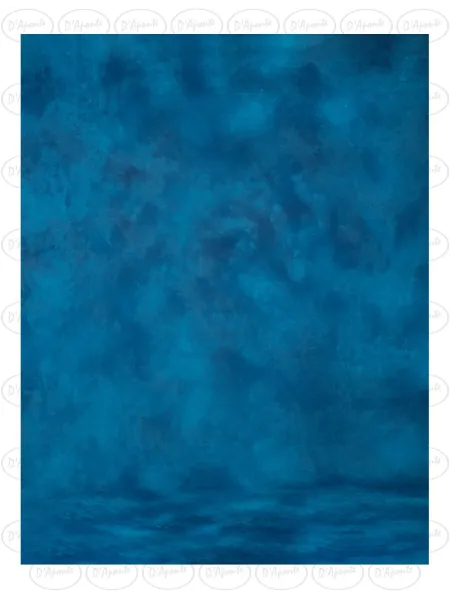 D'APONTE PRINTED CANVAS BACKDROP PRS 12-966 | D'Aponte | Premium Backdrops - PR Printed