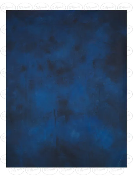 D'APONTE PRINTED CANVAS BACKDROP PRS 12-968 | D'Aponte | Premium Backdrops - PR Printed 2