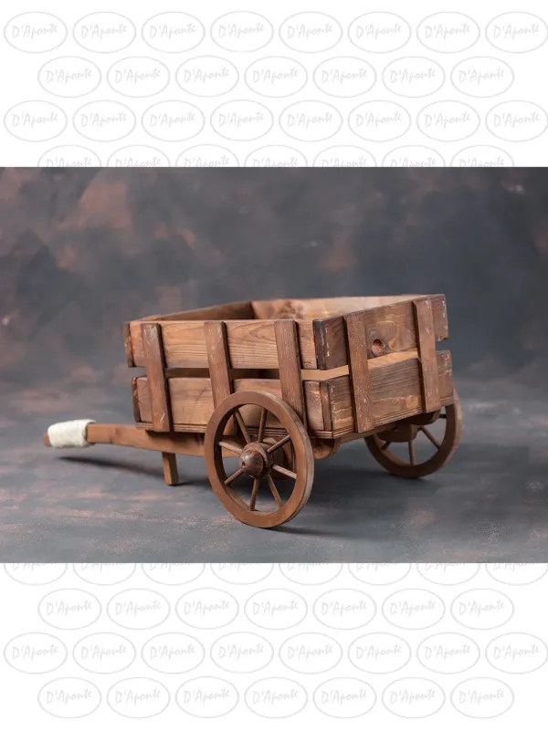 D'APONTE NEWBORN NB040 RUSTIC BARROW | D'Aponte | Newborn Accessories