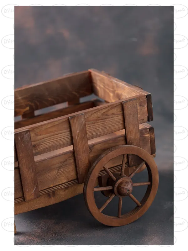 D'APONTE NEWBORN NB040 RUSTIC BARROW | D'Aponte | Newborn Accessories