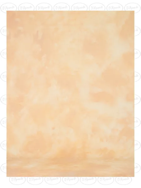 D'APONTE PRINTED CANVAS BACKDROP PRS 12-974 | D'Aponte | Premium Backdrops - PR Printed 2