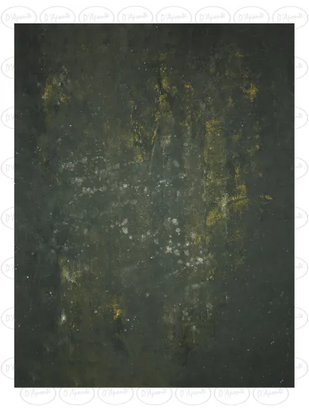 D'APONTE PRINTED CANVAS BACKDROP PRS 12-980 | D'Aponte | Premium Backdrops - PR Printed 2