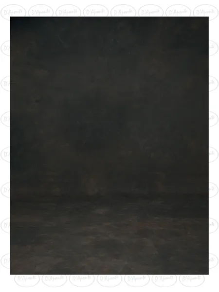 D'APONTE PRINTED CANVAS BACKDROP PRS 12-991 | D'Aponte | Premium Backdrops - PR Printed