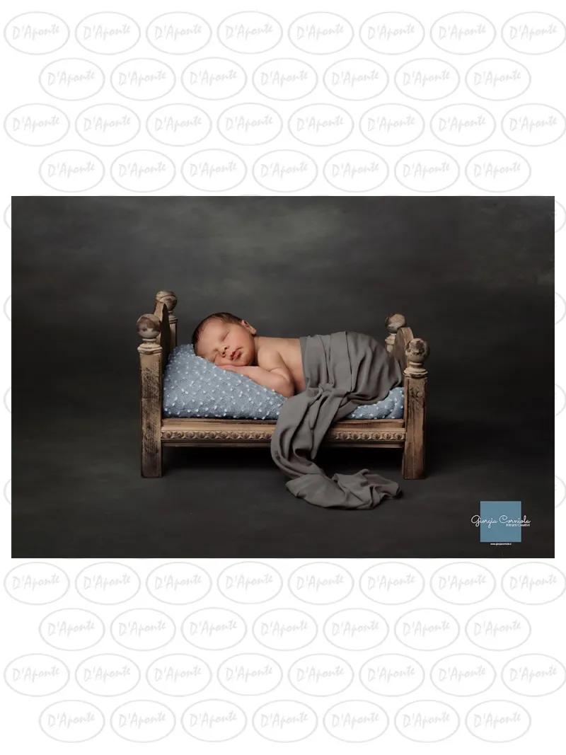 D'APONTE PRINTED CANVAS BACKDROP PRS 12-992 | D'Aponte | Premium Backdrops - PR Printed