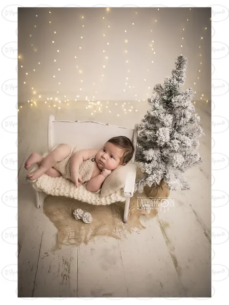 D'APONTE NEWBORN NB042 FIRST BIRTHDAY SET - BENCH | D'Aponte | Newborn Accessories