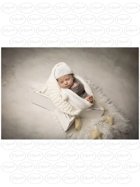D'APONTE NEWBORN NB061 STAR | D'Aponte | Newborn Accessories 2