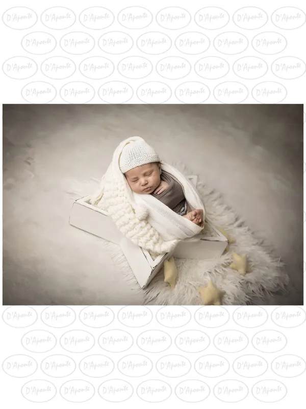 D'APONTE NEWBORN NB061 STELLA