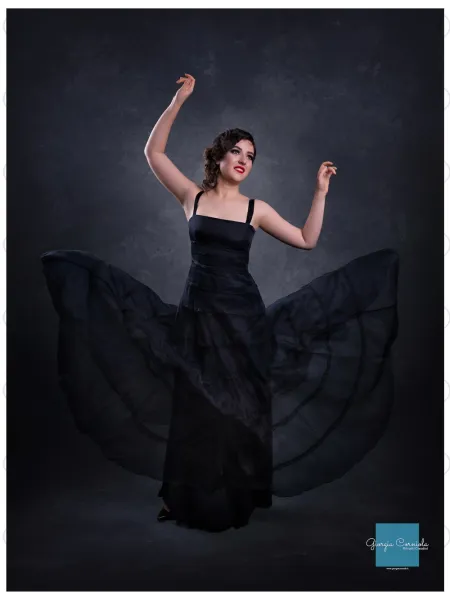 D'APONTE CANVAS BACKDROP PR 12-920 | D'Aponte | Premium Backdrops - PR