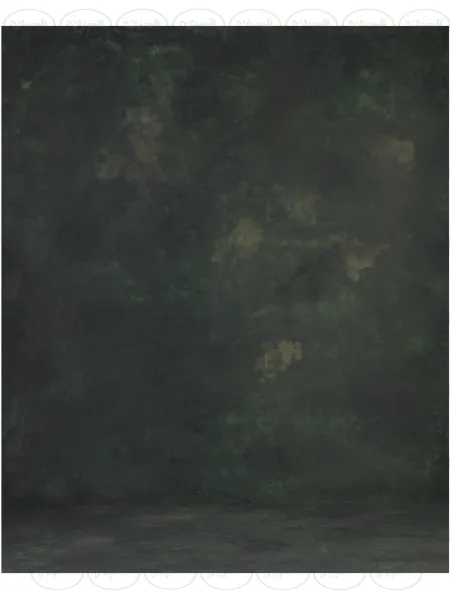D'APONTE PRINTED CANVAS BACKDROP PRS 12-927 | D'Aponte | Premium Backdrops - PR Printed