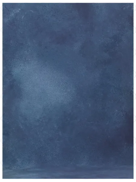 D'APONTE PRINTED CANVAS BACKDROP PRS 12-935 | D'Aponte | Premium Backdrops - PR Printed