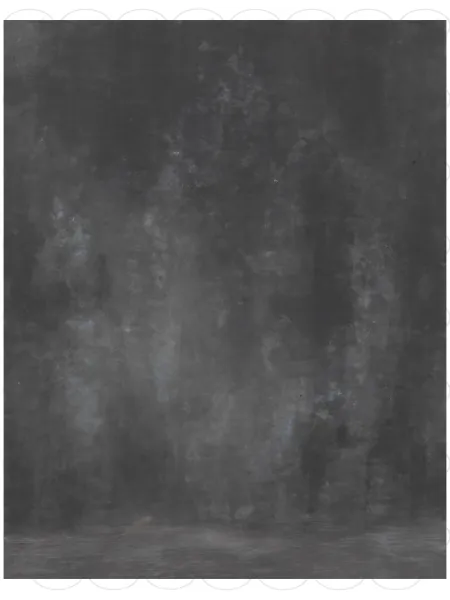 D'APONTE PRINTED CANVAS BACKDROP PRS 12-936 | D'Aponte | Premium Backdrops - PR Printed