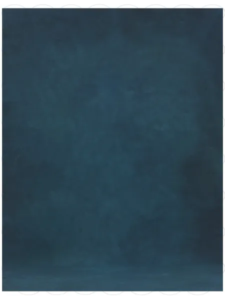 D'APONTE PRINTED CANVAS BACKDROP PRS 12-937 | D'Aponte | Premium Backdrops - PR Printed