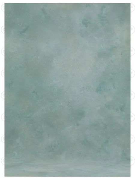 D'APONTE PRINTED CANVAS BACKDROP PRS 12-939 | D'Aponte | Premium Backdrops - PR Printed 2