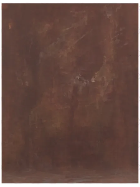D'APONTE PRINTED CANVAS BACKDROP PRS 12-940 | D'Aponte | Premium Backdrops - PR Printed