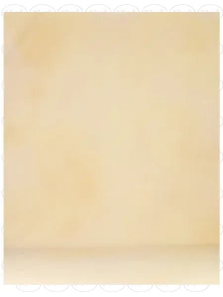D'APONTE PRINTED CANVAS BACKDROP PRS 12-942 | D'Aponte | Premium Backdrops - PR Printed