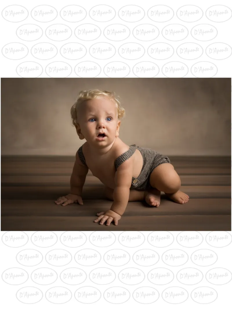 D'APONTE CANVAS BACKDROP PR 12-932 | D'Aponte | Premium Backdrops - PR