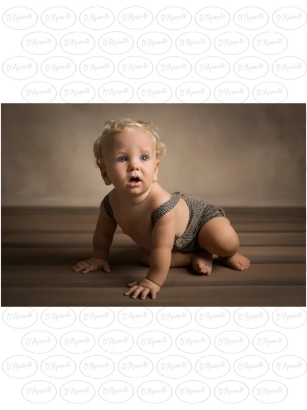 D'APONTE CANVAS BACKDROP PR 12-932 | D'Aponte | Premium Backdrops - PR