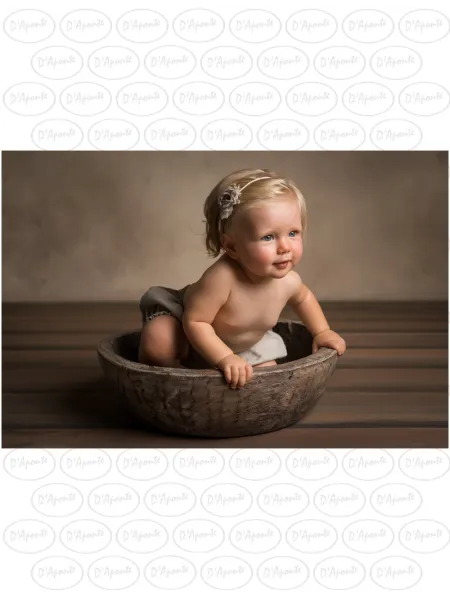 D'APONTE CANVAS BACKDROP PR 12-932 | D'Aponte | Premium Backdrops - PR