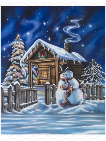 D'APONTE CHRISTMAS CANVAS BACKDROP SB 12-324 | D'Aponte | Scenographic – SB
