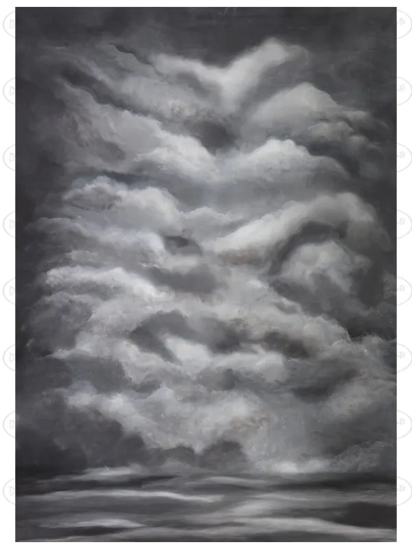 D'APONTE PRINTED CANVAS BACKDROP PRS 12-947 | D'Aponte | Premium Backdrops - PR Printed
