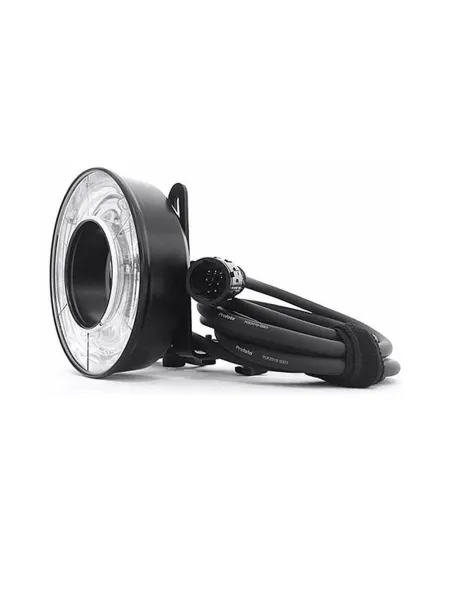PROFOTO ProRing Plus | D'Aponte | Generators and Torches 2