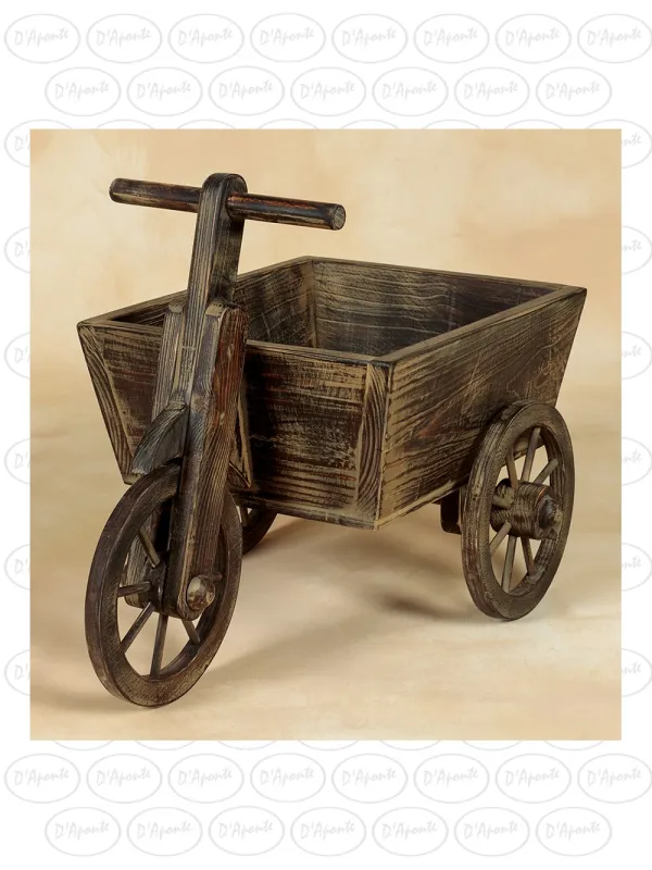 D'APONTE NEWBORN NB090 TRICICLO