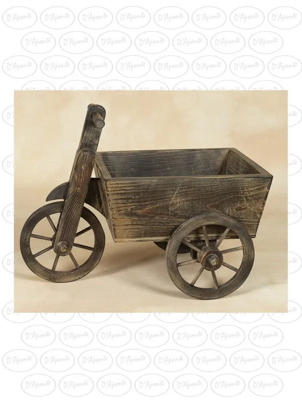 D'APONTE NEWBORN NB090 TRICICLO