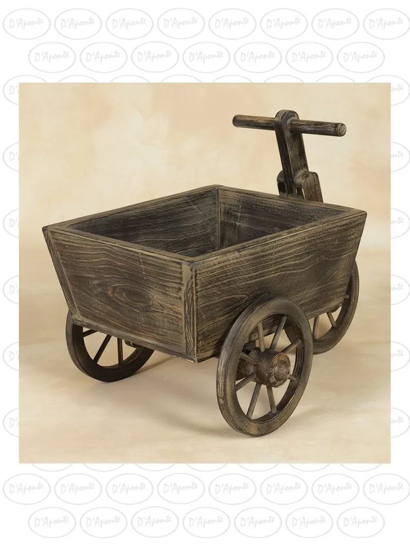 D'APONTE NEWBORN NB090 TRICICLO
